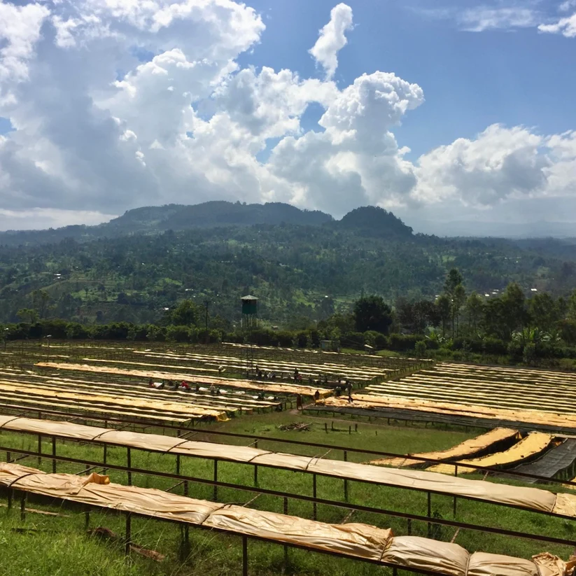 Paisaje de Nyeri County, Kenia